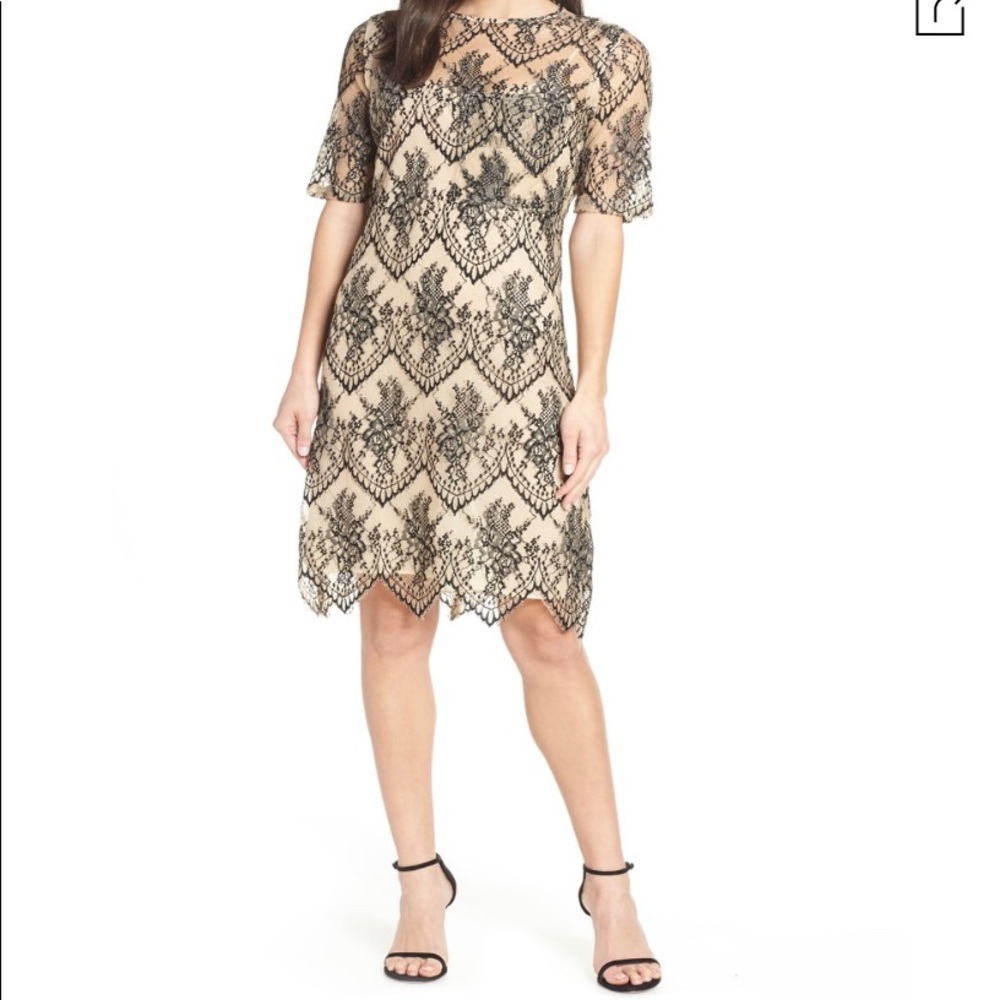 Caara lace scallop dress size small NWT